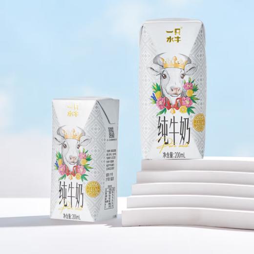 一只水牛纯牛奶200ml*10瓶（杭州皇冠牛版）甄选自有广西山水牧场奶源 醇厚丝滑 入口香浓自然甜 商品图6