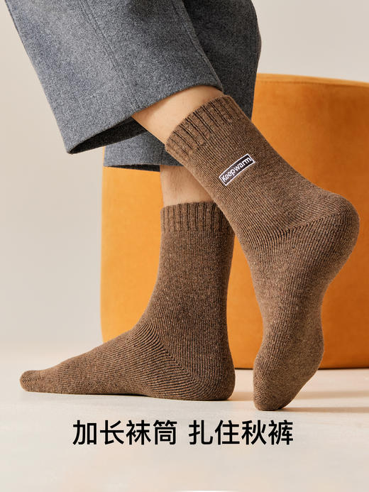 原价49.9 限时折扣29.9元【体慕】羊毛袜子男款秋冬中筒袜加绒加厚保暖毛圈袜防臭抗寒男士长袜冬天 商品图4