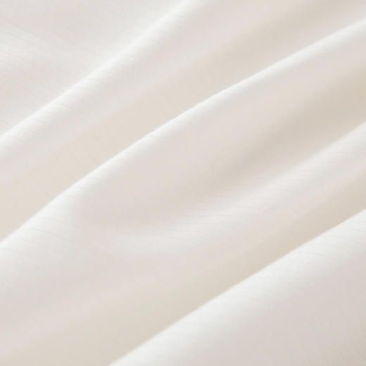 【云粉节】【满300减30】【买一赠一】10楼 安睡宝 全棉A类大豆七孔深睡冬被（赠：星月枕一对）吊牌价1099-1399元 活动价399-599元 商品图1