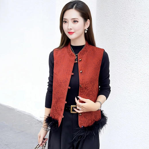 新中式国风夹棉马甲女冬季新款2025年韩版气质时尚优雅妈妈装背心 商品图3