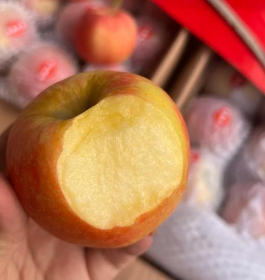 【自营品牌】正宗新疆阿克苏苹果顺丰包邮 商品图4