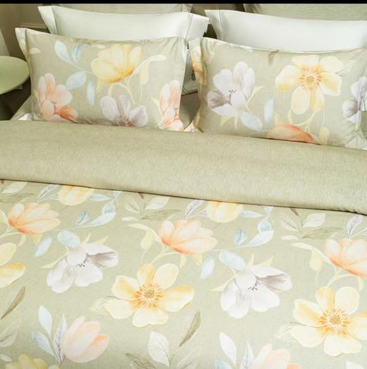 6F堂皇 柔澜全棉磨毛四件套 商品图1