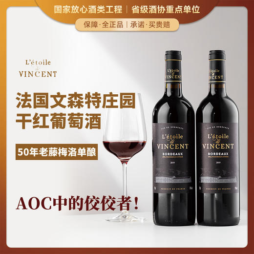 【送礼佳选】法国文森特庄园干红葡萄酒  法国原瓶进口 14%vol 商品图0