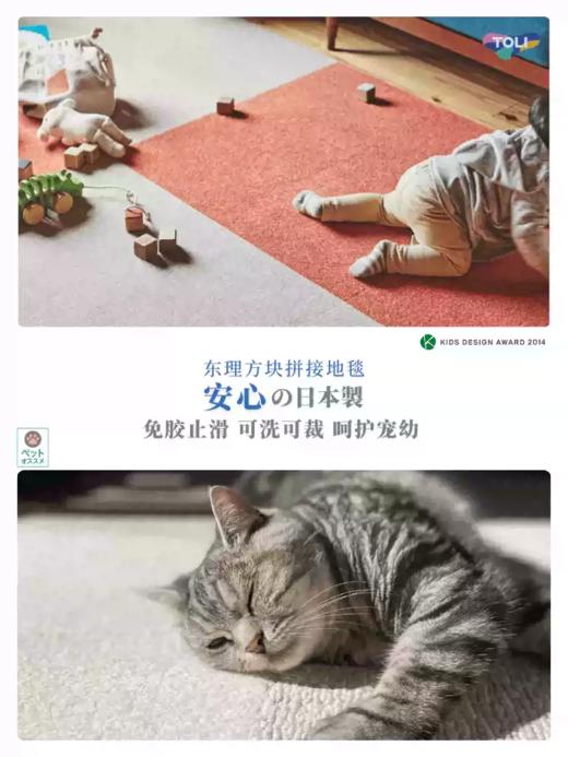 日本进口东理TOLI地毯日式自粘家用正方形卧室客厅拼接地垫 商品图2