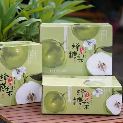【古树蜂糖梨】皮可食，肉无渣，甜如蜂蜜，香甜多汁 商品图6