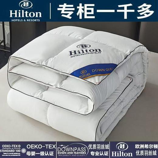厂家直销希尔顿星级酒店羽丝绒棉被春秋被民宿被芯团购礼品被 商品图0