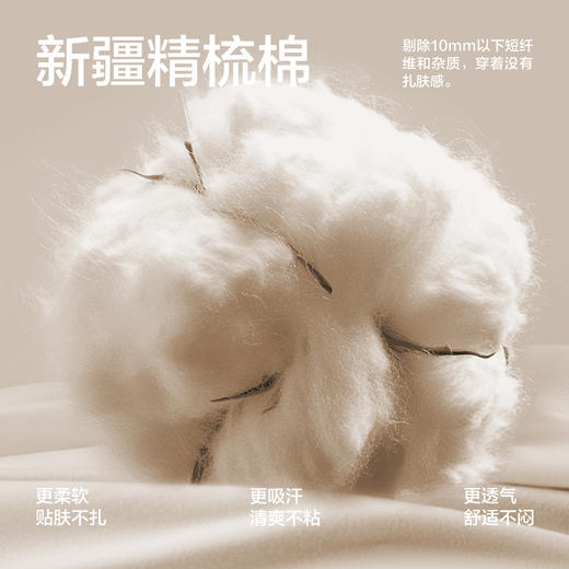 【新品上新】有棵树条纹纯棉宽松阿罗裤男士四角短裤-U4007 商品图2