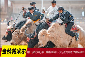 11月4日金秋帕米尔9天摄影团  ：喀什 / 白沙湖 / 慕士塔格峰冰川公园 / 盘龙古道 / 胡杨林