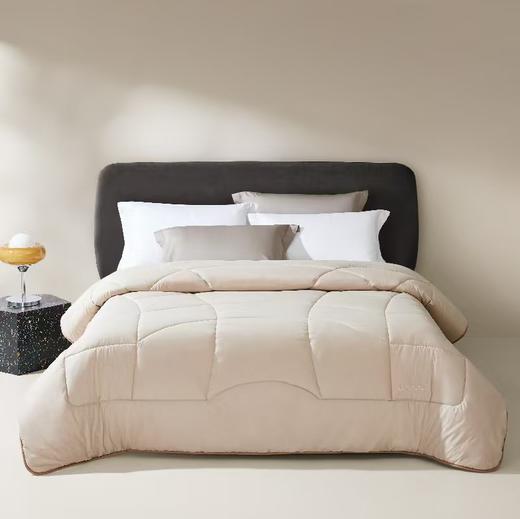 8F LUOLAI罗莱 澳洲羊毛柔丝冬被200*230 商品图0