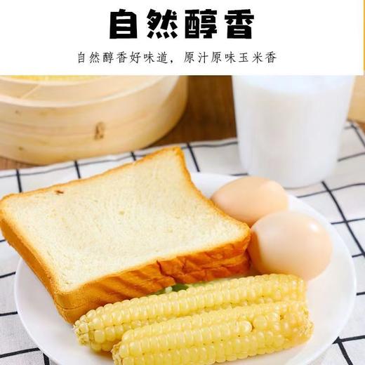 拇指玉米 1kg 商品图2