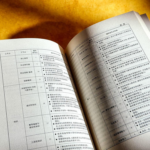 社会公正与教师教育的道德责任 王夫艳 国际与比较教育前沿丛书 商品图10