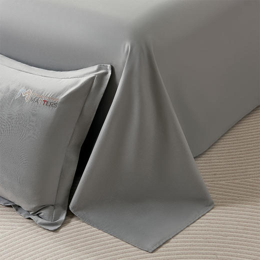 杉杉家纺 雅梦纯棉绣花四件套 QFS- 25020 商品图3