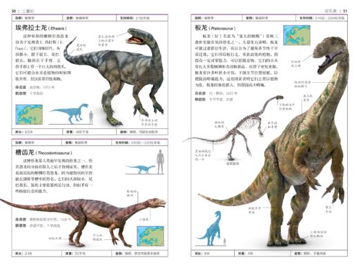DK博物系列：恐龙与其他史前生物 商品图4