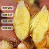 【厂商直发】云南文山有机新鲜小黄姜3斤/5斤装去泥姜香浓郁包邮 商品缩略图7