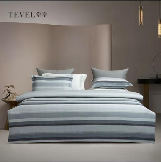 6F堂皇 蕴然全棉磨毛四件套 商品图0