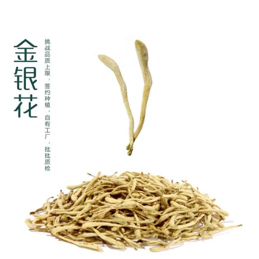 精选封丘金银花 足干 商品图0