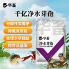 华畜千亿净水芽孢 分解残饵粪便 降氨氮亚盐 处理水草挂脏 控制青苔蓝藻 商品缩略图0
