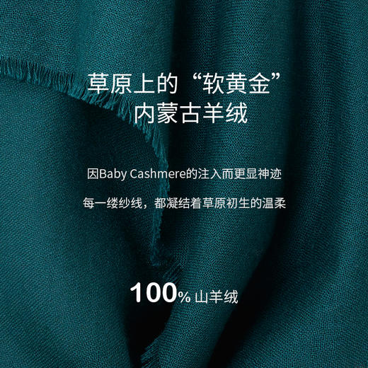 羊绒圆领斗篷式女上衣  SJF97W342N 商品图2