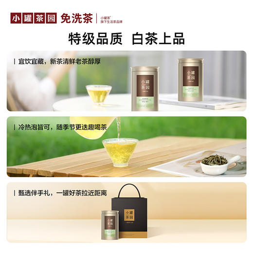小罐茶园 金标系列特级 白毫银针茶  升级版 60g【现货】 商品图4