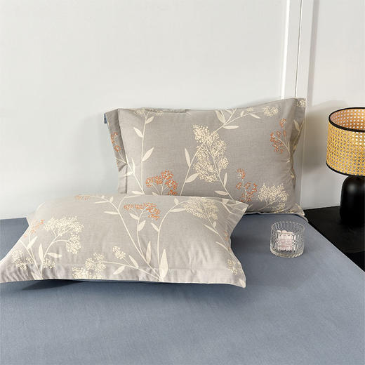 杉杉家纺 时尚纯棉磨毛四件套—绣丽-灰 QFS-2610 商品图2