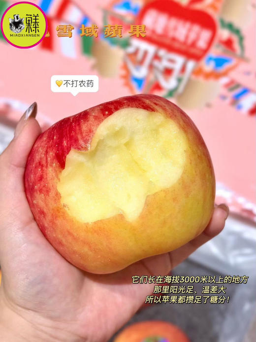 Mg基地直飞【云巅秘蔵】藏地冰川赤霞苹果（包邮） 商品图4