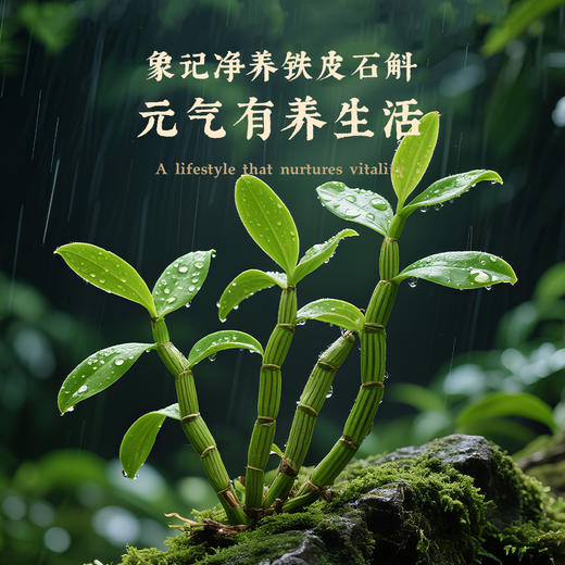 【象记】铁皮石斛礼盒*300克/盒-150克/瓶礼盒装 商品图5