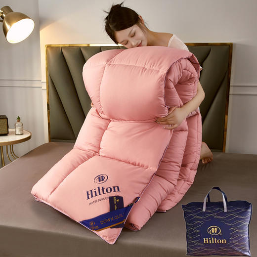 厂家直销希尔顿星级酒店羽丝绒棉被春秋被民宿被芯团购礼品被 商品图9