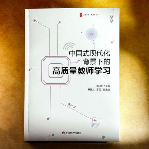 中国式现代化背景下的高质量教师学习 大夏书系 教育新思考 商品图1