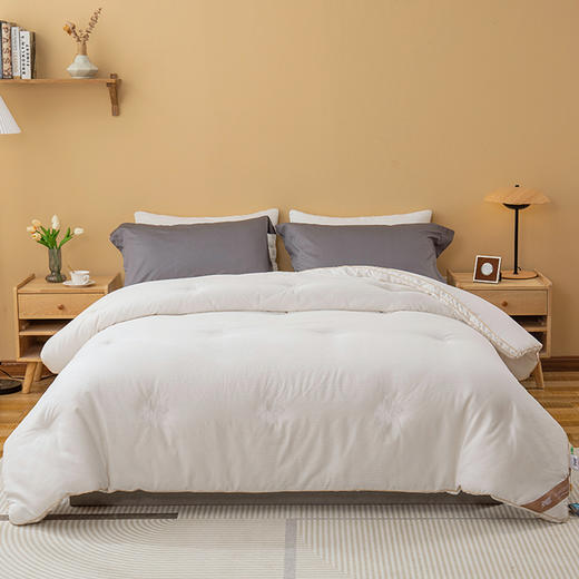 【云粉节】【满300减30】【买一赠一】10楼 安睡宝 全棉A类大豆七孔深睡冬被（赠：星月枕一对）吊牌价1099-1399元 活动价399-599元 商品图3