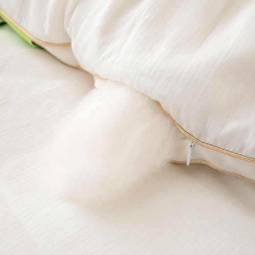 【云粉节】【满300减30】【买一赠一】10楼 安睡宝 全棉A类大豆七孔深睡冬被（赠：星月枕一对）吊牌价1099-1399元 活动价399-599元 商品图4