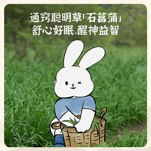 真不二儿童保健贴 2袋/盒，一袋2片 三盒装/六盒装/ （3岁以上可用！） 商品图7