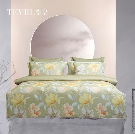 6F堂皇 柔澜全棉磨毛四件套 商品图0