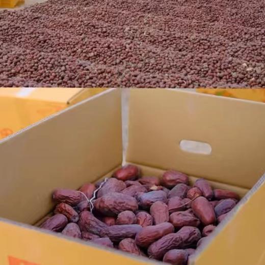 新疆和田大枣果肉饱满香甜可口 商品图3