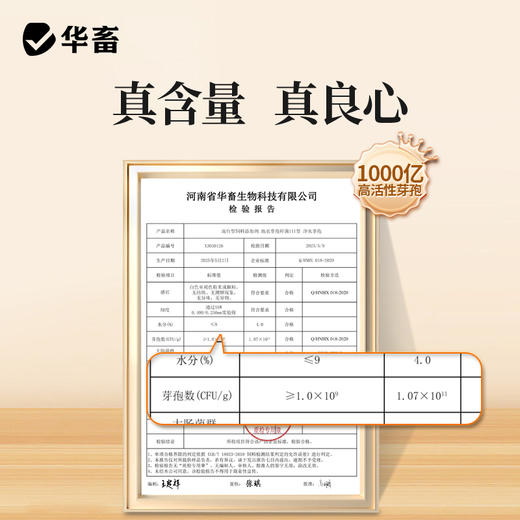 华畜千亿净水芽孢 分解残饵粪便 降氨氮亚盐 处理水草挂脏 控制青苔蓝藻 商品图5