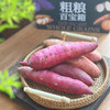 蜜薯五拼百宝箱#一次集齐五大[蜜薯尖子生]，烟薯25号+溏心紫薯+红瑶蜜薯+哈蜜蜜薯+榴莲蜜薯，从“爆浆流蜜”到“冰淇淋口感” 五天粗粮不重样，告别选择困难症 商品缩略图4