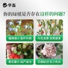 长效缓释肥颗粒通用型氮磷钾肥料养花绿植多肉家用盆栽花肥 商品缩略图3