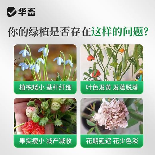 长效缓释肥颗粒通用型氮磷钾肥料养花绿植多肉家用盆栽花肥 商品图3