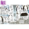 【中商原版】关于南极洲的一切 All About Antarctica 英文原版 儿童科普绘本 自然科学读物 精装 进口童书 7岁以上 精品绘本 商品缩略图3