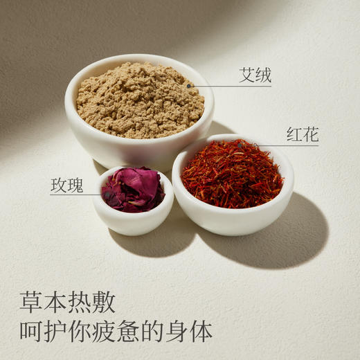 左点养生娘娘热敷坐垫NN-RZD-6 商品图2