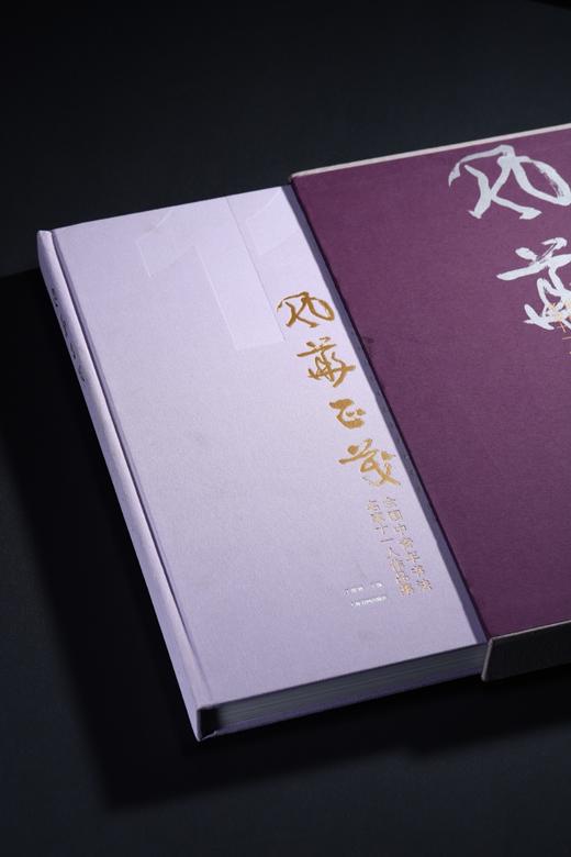 风华正茂——全国中青年书法名家十一人作品集（第三辑） 商品图1