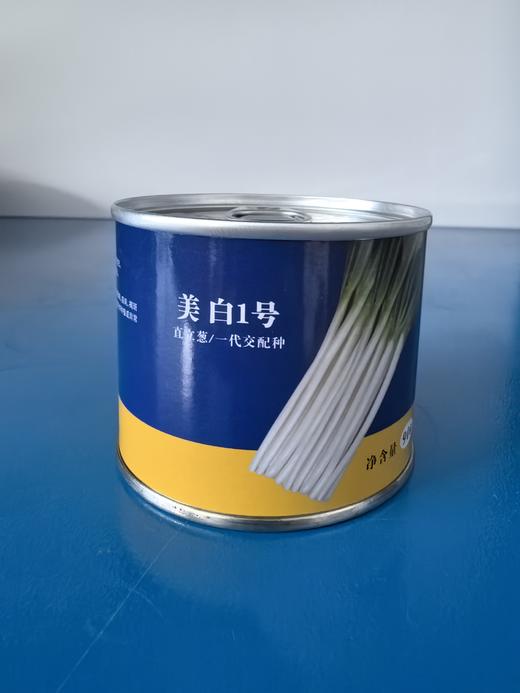 【种子】美白1号/直立葱 原罐进口 一代杂交 商品图2