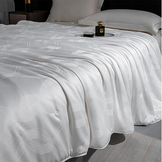 杉杉家纺 桑语提花蚕丝被 QFS-25106 商品图0