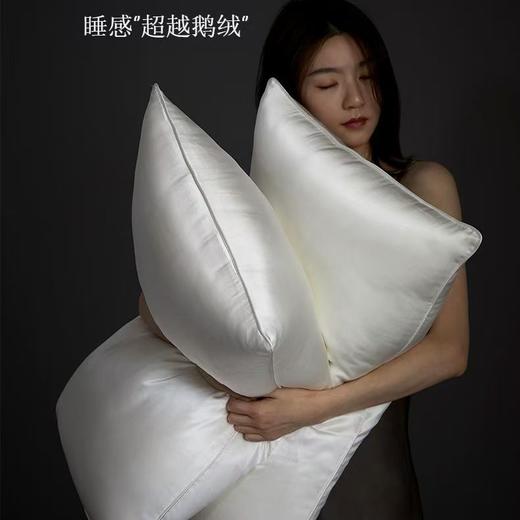桑蚕丝养颜枕丨超柔软成人家用护颈枕助眠枕芯 商品图0