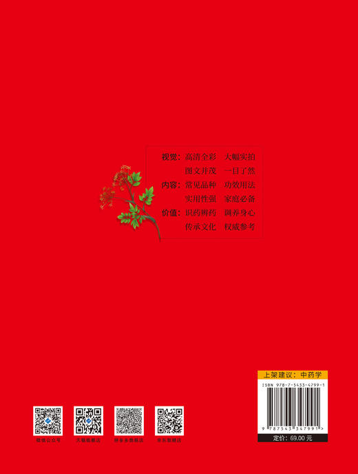 彩色图解实用中草药 商品图2