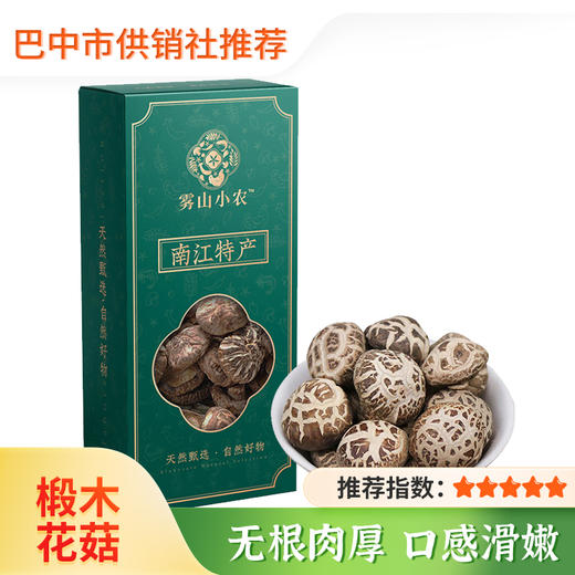 【雾山小农】南江特产椴木花菇200g 食用菌菇煲汤火锅食材 商品图0