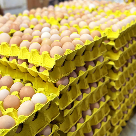 『湖北散养有机土鸡蛋』个头小巧，浓稠饱满，熟后蛋黄沙糯、蛋白弹嫩、鲜香无腥 商品图11