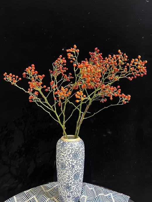 精品花材蔷薇果/玫瑰果1扎 商品图8