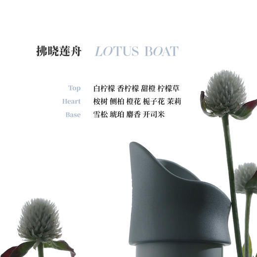 无弥白噪音系列无火香薰｜月下白茶睡眠香薰｜拂晓莲舟灵感香薰 商品图6