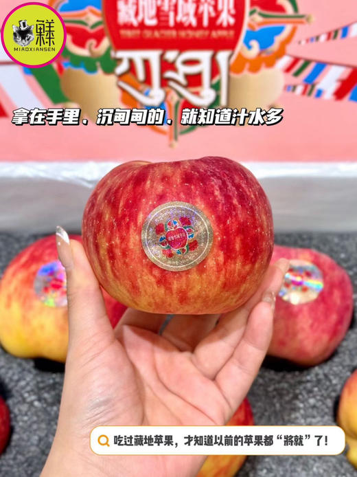 Mg基地直飞【云巅秘蔵】藏地冰川赤霞苹果（包邮） 商品图2