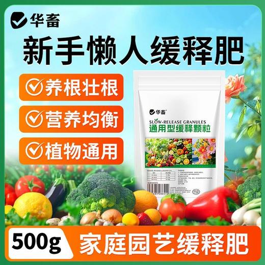 长效缓释肥颗粒通用型氮磷钾肥料养花绿植多肉家用盆栽花肥 商品图0